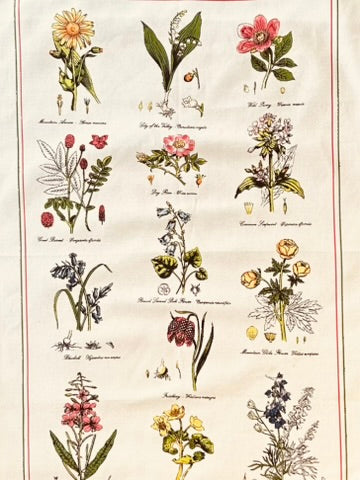 Tea Towel "New Oxford Botanicals"