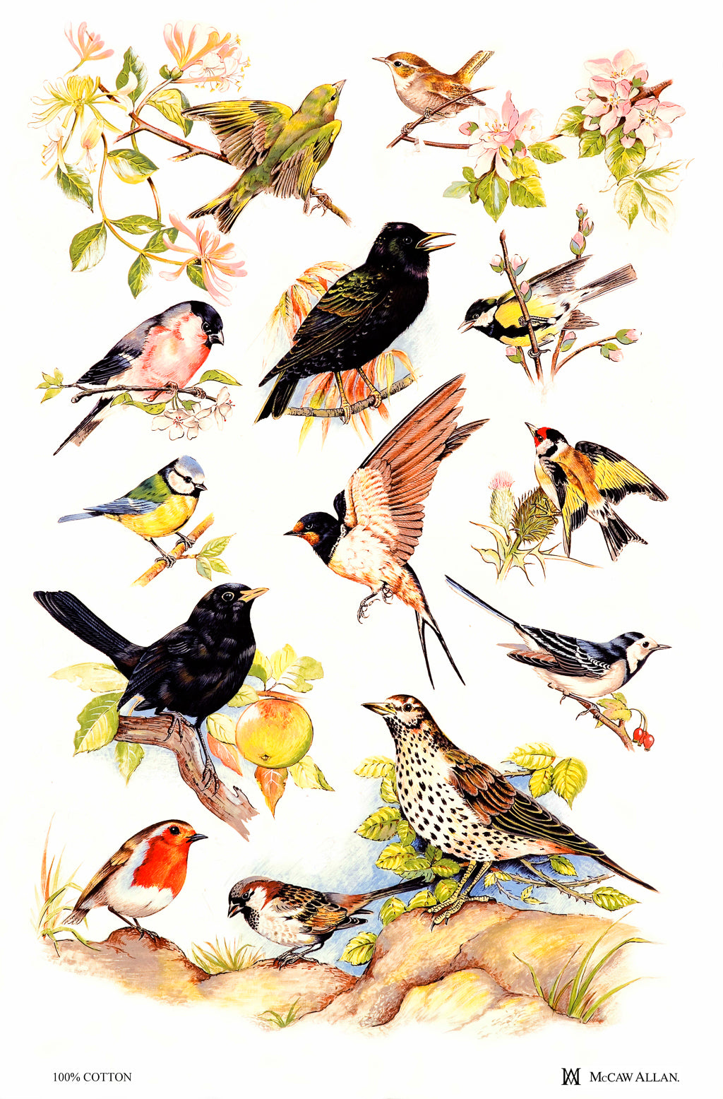 Tea Towel "British Birds"