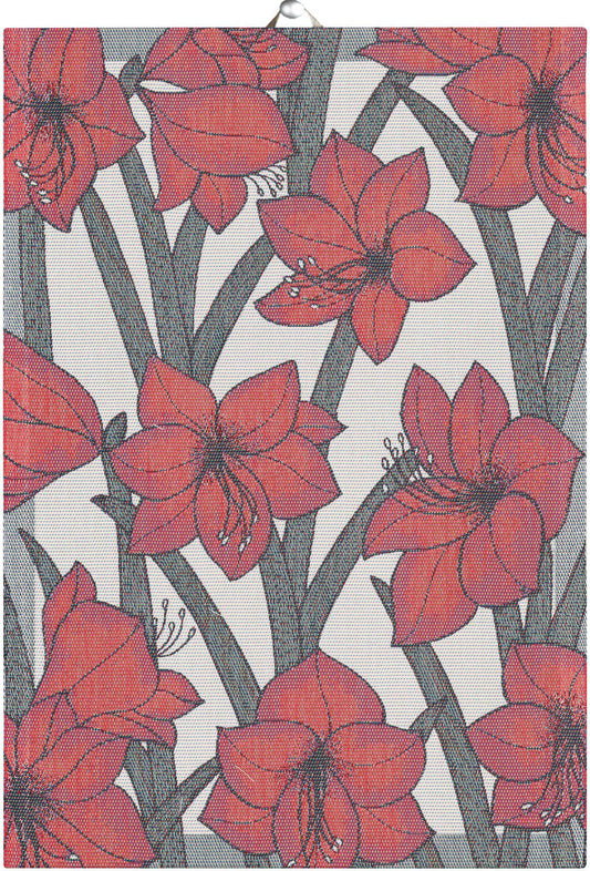 Ekelund Tea Towel: "Amaryllis"