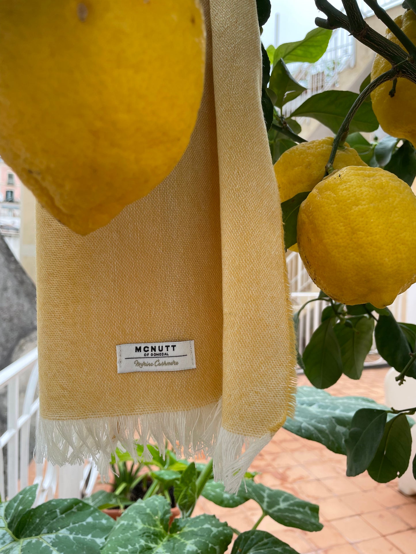 McNutt Paris Scarf - Lemon