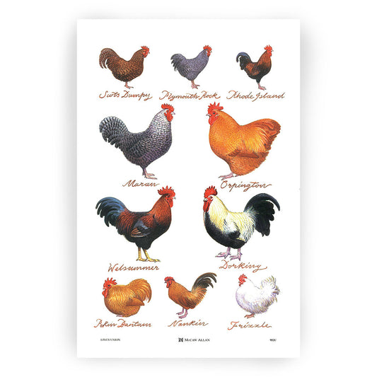 Tea Towel "Chicken Breeds"