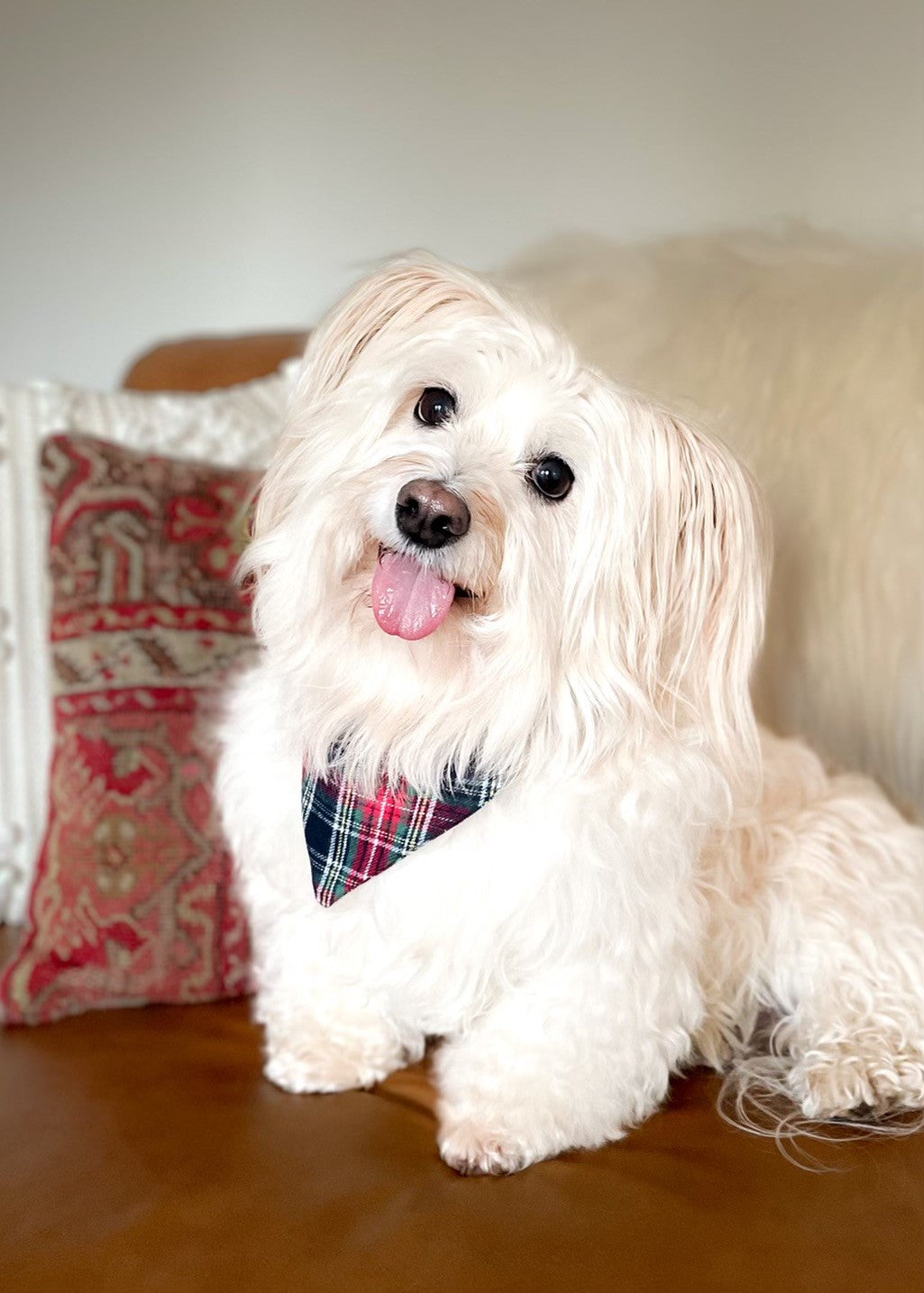 Festive Dog Bandanas