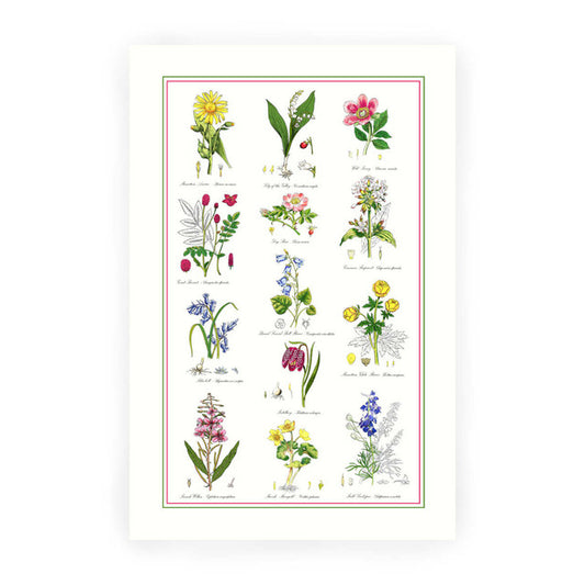 Tea Towel "New Oxford Botanicals"